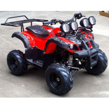 Made in China Marca Jinyi Quad ATV Quad Sport 110cc para adultos e crianças (JY-100-1B)